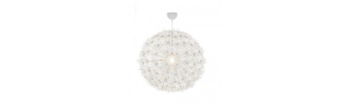 LAMPY